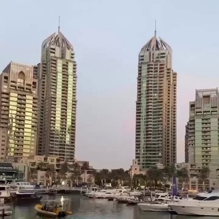 Логотип @lisamichelle567 - English😍 Dasha Alekseeva