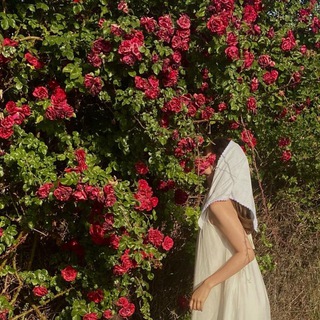 Логотип @liskaska21 - liskaska