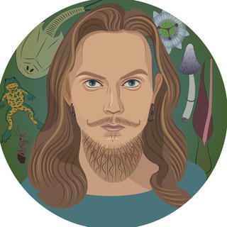 Логотип @lisopavlik_tg - LISOPAVLIK