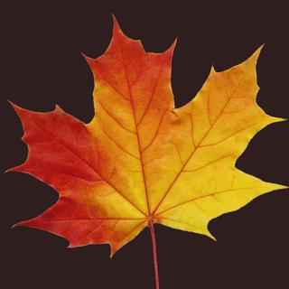 Логотип @listopadovka - 🍁Листопадовка