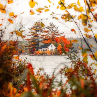 Логотип @listyaneopavshie - Ещё не опавшие листья