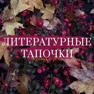 Логотип @lit_tapki - литературные тапочки