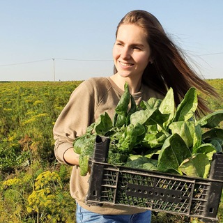Логотип @litkevich_veg_food - 🍃 Vegan non-stop