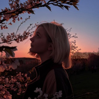 Логотип @litovskayalastochka - Литовская ласточка