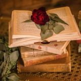 Litterae | Литература