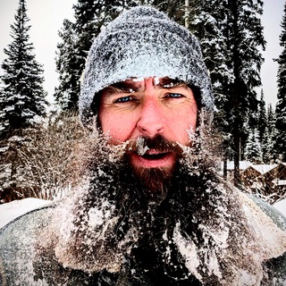 Логотип @littlesealenglish - Little Seal English