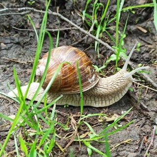 Логотип @littletripto - Little Trip To...