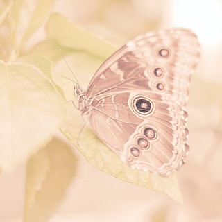 Логотип @liubovenergylife - Энерголайф