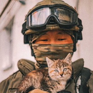 Логотип @liuboviputeatishna - Котятишны ньюZ