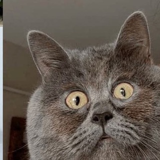 Логотип @livdel_advokot - Better call Livdel