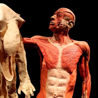 Логотип @live_animated - живые мужчины и женщины г.Туапсе