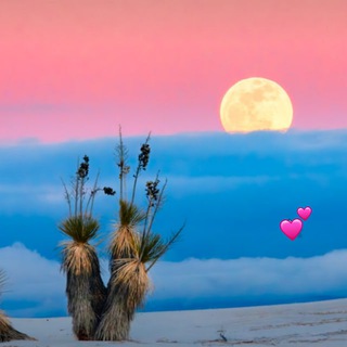 Логотип @live_eco - Благоприятная природная среда