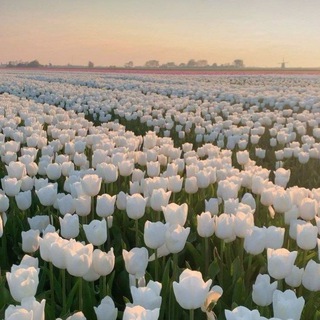 Логотип @live_for_god25 - Жить для Бога❤️‍🩹