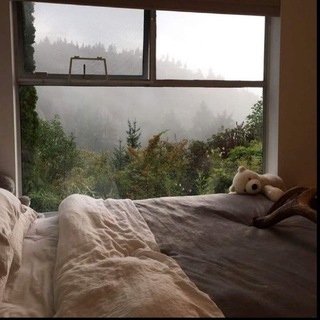 Логотип @live_in_dreamsm - Live in dreams ☺️