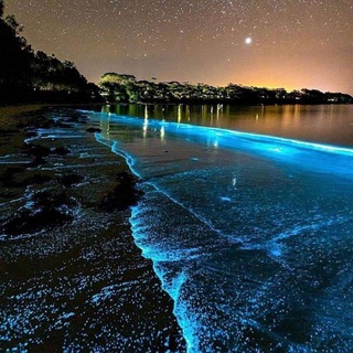 Логотип @live_in_dreamsm1 - Orzularda yashamoq