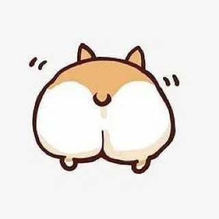 Логотип @livecorgi - Корги лайв • Собаки • Смешные видео