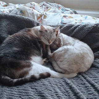 Логотип @liveglory - Краткость - сестра не моего таланта