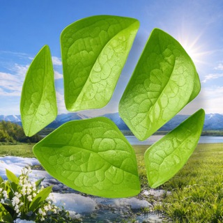 Логотип @liveplanet_tv - Живая Планета