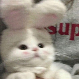 Логотип @liver_pubg1 - 💖dances from pubg💖