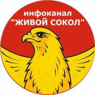 Логотип @livesokol - ЖИВОЙ СОКОЛ (инфоканал)