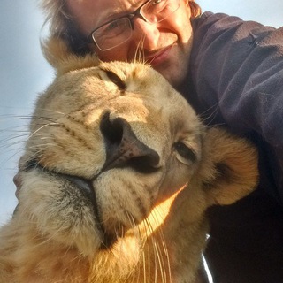 Логотип @livingwithlions - Living_with_lions