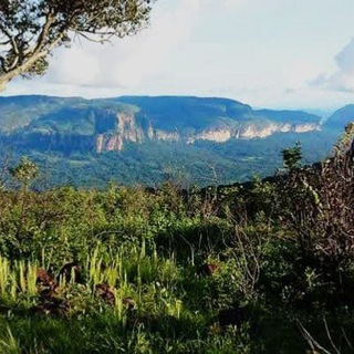 Логотип @livresislamiques224 - 📚 livres islamiques français 🔑arabes