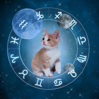 Логотип @lixinkkkkk - Lixinkkk | Таро | Гороскоп