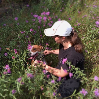 Логотип @lixniui - °•αл|нкα•°