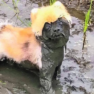 Логотип @liza_kei_chaos - Хаотичные мысли