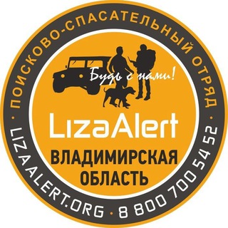 Логотип @lizaalert_vo - ДПСО "ЛизаАлерт" Владимирская область