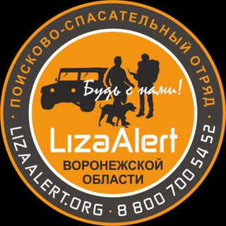 Логотип @lizaalert_vrn36 - ПСО «ЛизаАлерт» Воронежской области (канал)