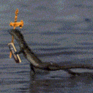 Логотип @lizardzz - Бляцкие гады