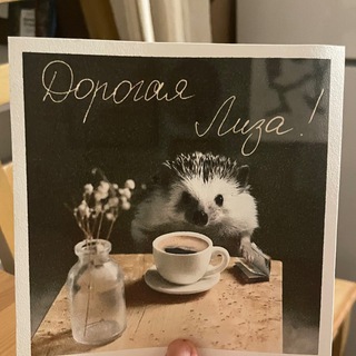 Логотип @lizazaslavskaya - Дорогая Лиза