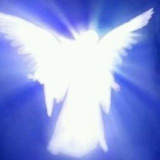 Логотип @llerraka - leraka₊