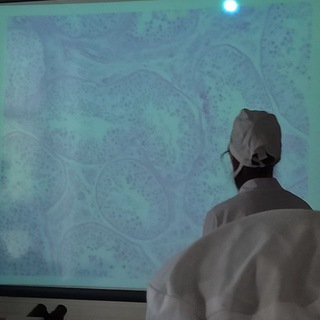 Логотип @lllllllliss_aaaaaaaa - О, Леся 🫀🤍