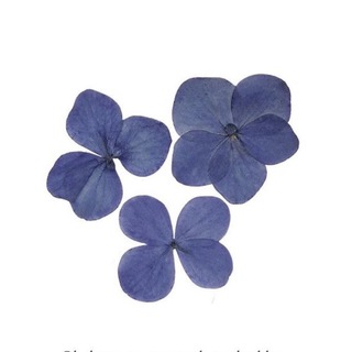 Логотип @llllttttt1 - ل