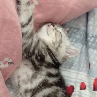 Логотип @lloveeeeeechaaat - «я люблю»Chattt❤️‍🔥