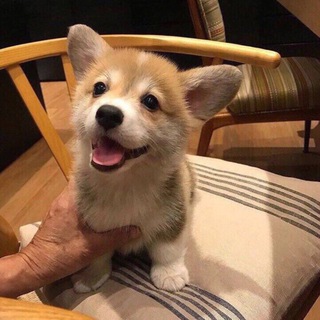 Логотип @lloveyou_9757 - Уютный уголок💗