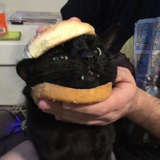 Логотип @lmaonewpost - О, новый пост О_о