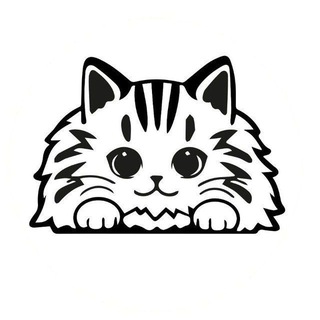 Логотип @lmpets - LMpets - дом кошачьего счастья 😻 Здесь находят друг друга 💞