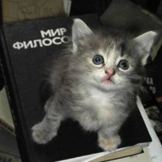 Логотип @lo0200artt - lo0200 art