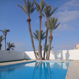 Логотип @locvillasdjerbaavecpiscineprivee - 🏝️ Loc' île Djerba( villas avec piscines privées sans vis à vis § voiture) 🇹🇳TUNISIE