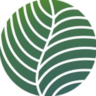 Логотип @loft_drevo - Лофт «ДРЕВО» СЫКТЫВКАР🤍