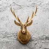 Логотип @loftdesigne - LoftDesigne