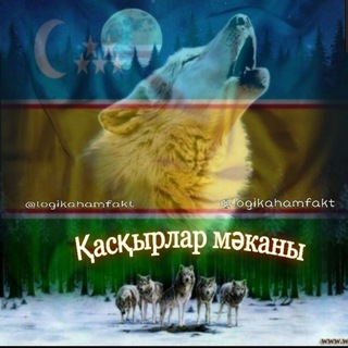 Логотип @logikahamfakt - Қасқырлар мәканы 🐺