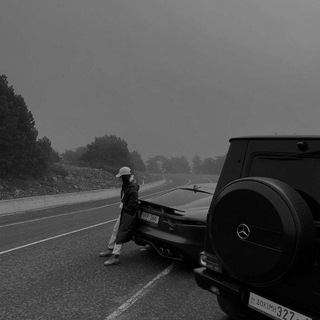 Логотип @logovo77 - ʟᴏɢᴏᴠᴏ 🌿