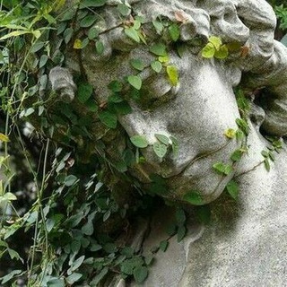 Логотип @logreygardenarchive - архив серого сада