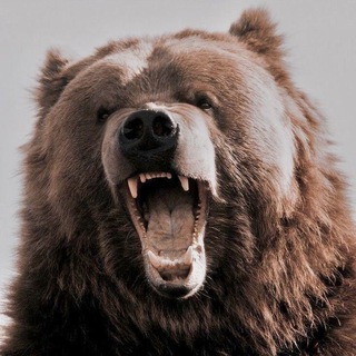 Логотип @loko_yaroslavl - Из Ярославля с любовью