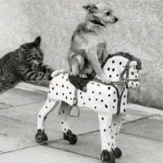 Логотип @lol_meme_drop - LOL, держи мем