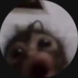 Логотип @lolitahimovaua - LolitaHimova